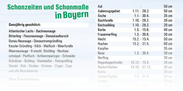 Schonzeitenkalender für Bayern. Jedes Jahr wird er kostenlos von fanggebiete angeboten.